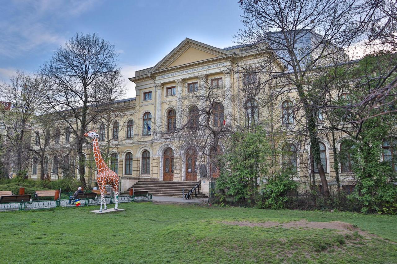 Oak Apartment - Piata Victoriei Бухарест Экстерьер фото