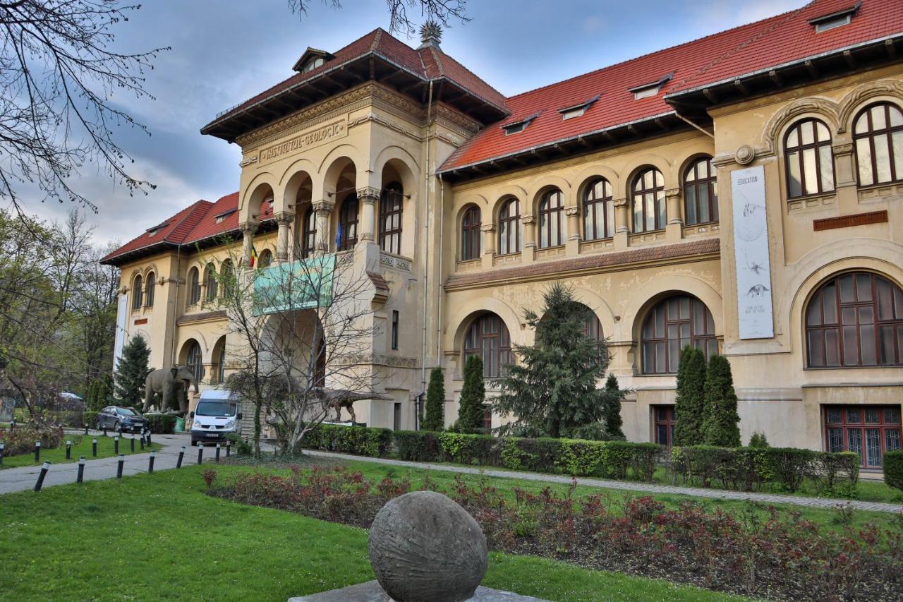 Oak Apartment - Piata Victoriei Бухарест Экстерьер фото